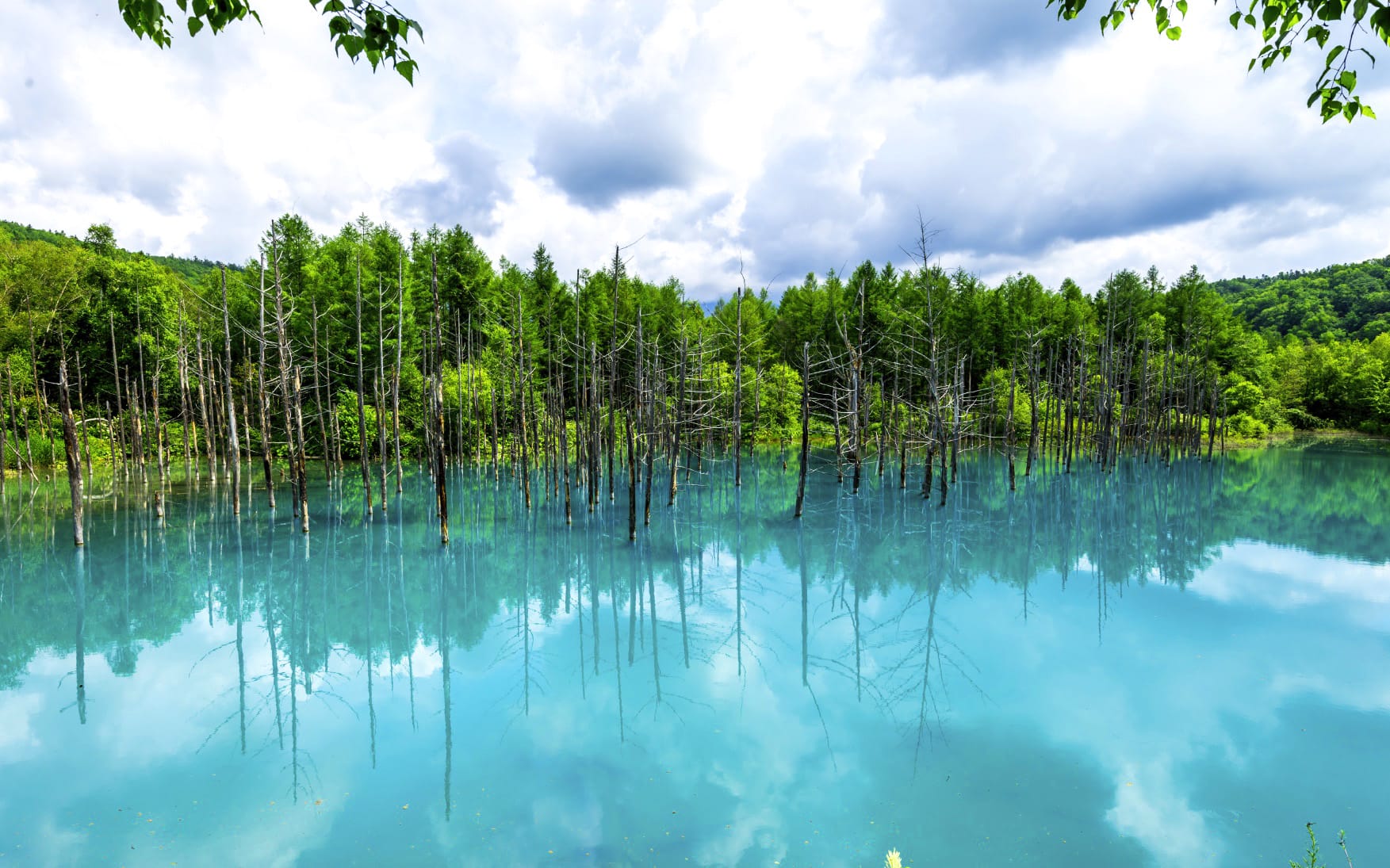 Hokkaido Travel Blog, Five Reasons This Northern Island Rewrites Japan