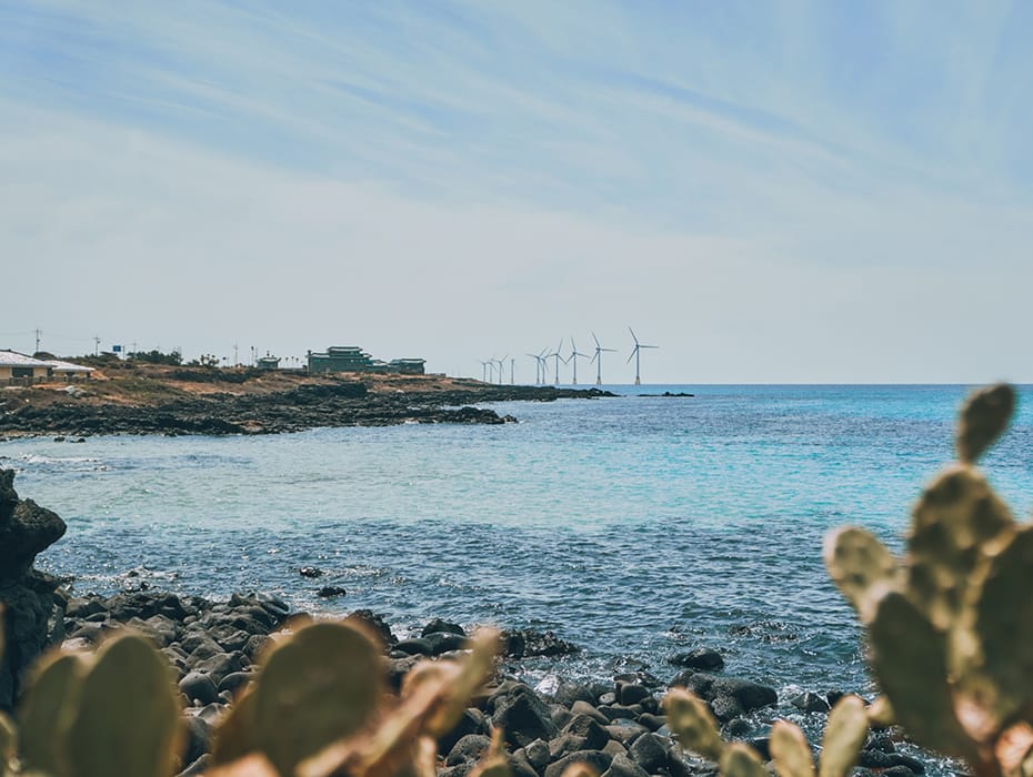 A Weekend On Jeju Island From Black Pork Barbecue To Abalone Porridge